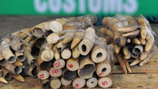 سجن صيني تزعم عصابة لتهريب العاج