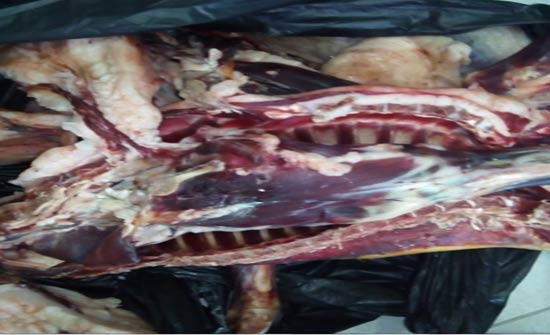 مأدبا : إغلاق ملحمتين ومحل لبيع الدواجن مأدبا : إغلاق ملحمتين ومحل لبيع الدواجن