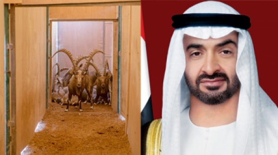 انطلاق مشروع الشيخ محمد بن زايد آل نهيان لإطلاق البدن العربي الخميس 22 أكتوبر في محمية رم