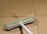 بالفيديو: رجل يقتل عنكبوتاً ضخماً لتخرج من بطنه مئات العناكب الصغيرة