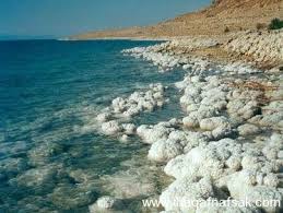 المؤتمر العربي الاوروبي لعلوم الرياضة يفتتح في البحر الميت بمشاركة 25 دولة غدا المؤتمر العربي الاوروبي لعلوم الرياضة يفتتح في البحر الميت بمشاركة 25 دولة غدا