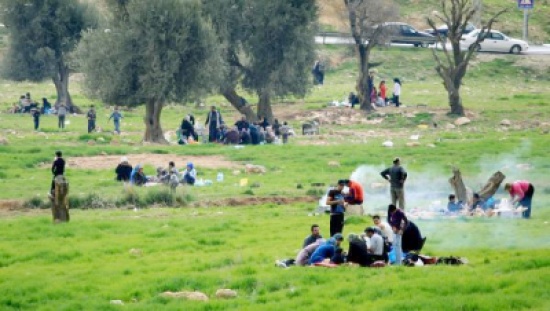 طقس ربيعي .. وارتفاع على درجات الحرارة