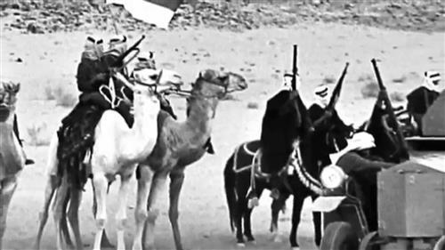 الثورة العربية في مؤلفات المؤرخ سليمان الموسى الثورة العربية في مؤلفات المؤرخ سليمان الموسى
