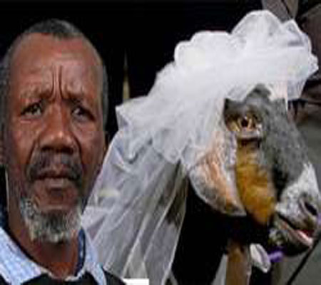 يستيقظ ليجد بجانبه عروس "عنزة"