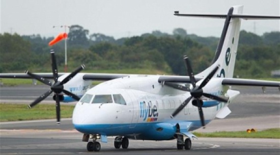 نحلة تجبر طائرة على الهبوط الاضطراري