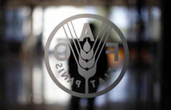 "الفاو" تضيف الاردن ومصر ولبنان لمنح الاختصاصات الجامعية بالمجر "الفاو" تضيف الاردن ومصر ولبنان لمنح الاختصاصات الجامعية بالمجر