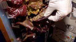 رواد الفضاء يتذوقون أول وجبة خضار من الفضاء