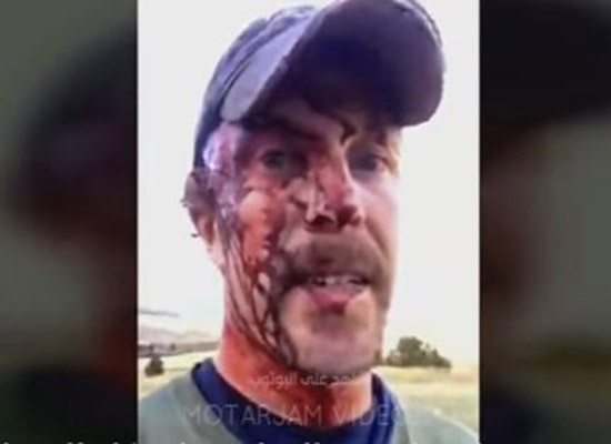 بالفيديو: ملايين المشاهدات لفيديو الدببة ومؤسس الفيسبوك يضغط لايك