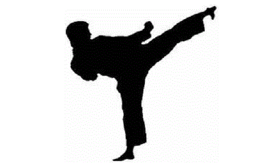 منتخب الكاراتيه يودع بطولة الدوري العالمي في فرنسا