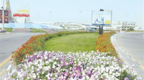 السعودية  : زرع 3 ملايين زهرة في استعداداً للعيد