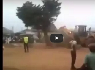 شاهد.. شجرة "مسكونة" تعود إلى مكانها كلما اقتلعت