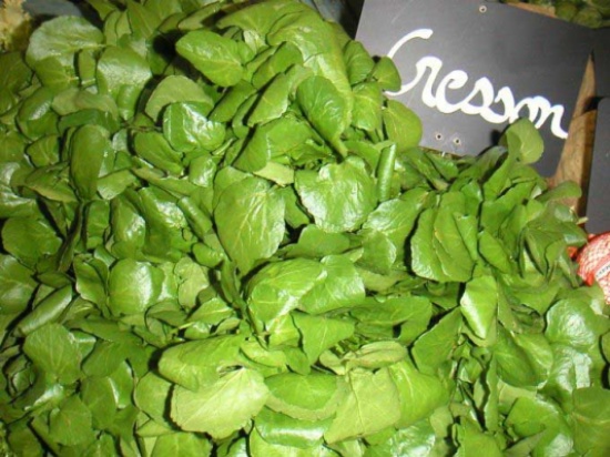 كيف نشفي التهاباً في المسالك البولية بسرعة ؟