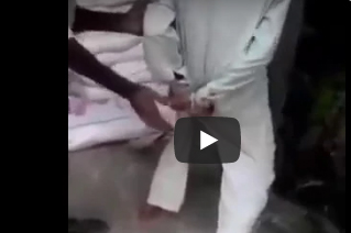 بالفيديو.. شاهد ماذا فعل رجل دخل فأر في بنطلونه