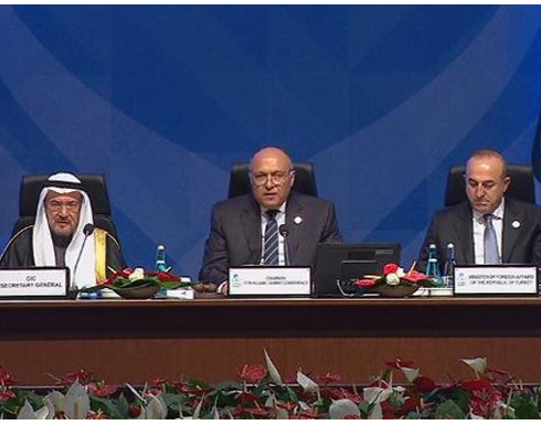 سامح شكري يخرج عن الأعراف الدبلوماسية ولم يصافح أردوغان وخرج من الباب الخلفي سامح شكري يخرج عن الأعراف الدبلوماسية ولم يصافح أردوغان وخرج من الباب الخلفي