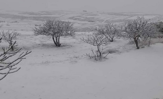 صور : الامن يعلن عن حالة الطرق في المملكة لغاية الثامنة صباحا