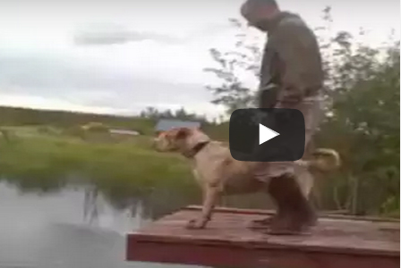 شاهد.. أطرف المواقف التي ترصد أصعب السقطات