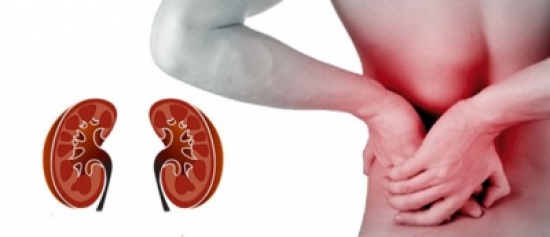 مؤتمر: ضرورة الاستفادة من المتوفين دماغيا لإنقاذ حياة مرضى الفشل الكلوي