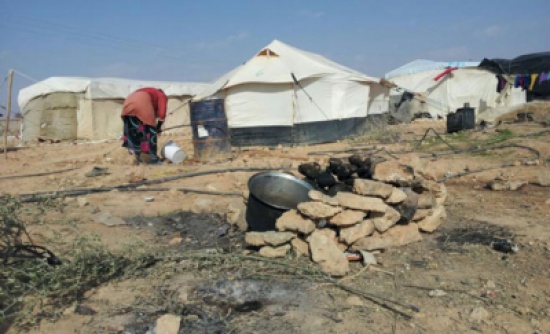 المفرق : إزالة 550 خيمة عشوائية للاجئين السوريين المفرق : إزالة 550 خيمة عشوائية للاجئين السوريين