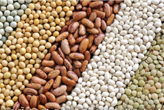 4 مواد غذائية تجعلك عبقرياً بصورة طبيعية وآمنة