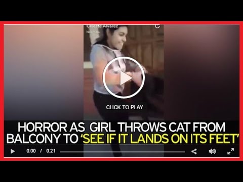 بالفيديو.. فتاة تلقي بقطة من الطابق الرابع والسبب؟