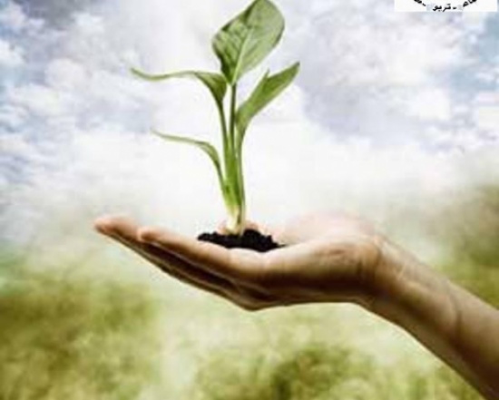 جمعية سيدات شرحبيل بن حسنة توزع مساعدات للمحتاجين