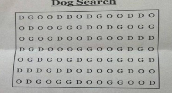 لغز حير الجميع مع اقتراب نهاية 2016