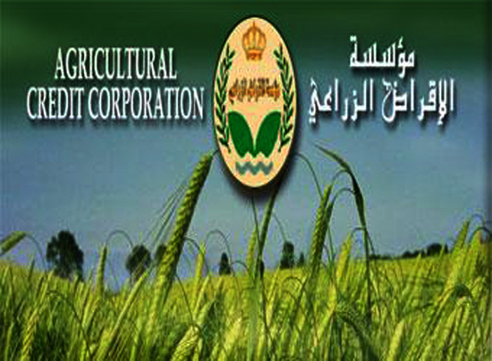عجلون: مليون دينار قروض الاقراض الزراعي