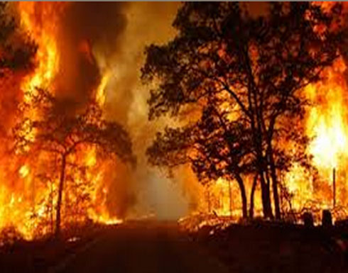 مصرع امريكي بحريق شب بغابات ولاية أوكلاهوما