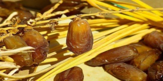 تحميك من أخطر أمراض العصر.. ما لا تعرفه عن فوائد التمور