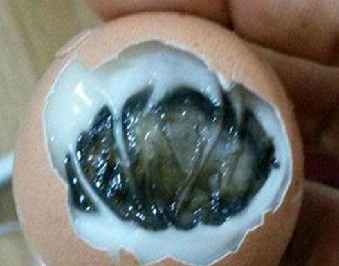 أسترالي يشتري بيضة من متجر ويجد داخلها مفاجأة أسترالي يشتري بيضة من متجر ويجد داخلها مفاجأة