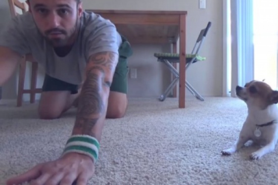 جرو يمارس اليوغا