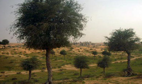 وفد من حماية الطبيعة يزور اتحاد مزارعي غور وادي الأردن وفد من حماية الطبيعة يزور اتحاد مزارعي غور وادي الأردن