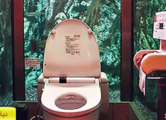 فيديو : اغرب 10 دورات مياه في العالم