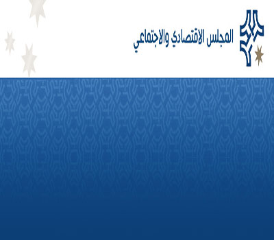 المجلس الاقتصادي والاجتماعي يبحث احتياجات المزار الجنوبي المجلس الاقتصادي والاجتماعي يبحث احتياجات المزار الجنوبي
