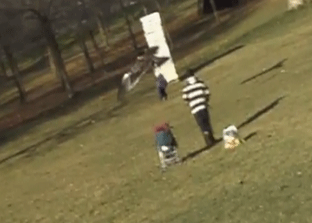 نسر يخطف طفل