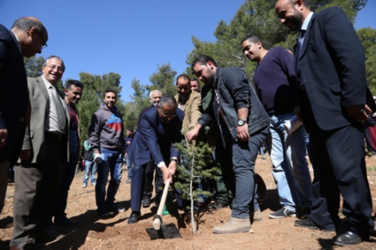 الخدمات المساندة في "الأردنية" تغرس 2000 شجرة حرجية في حرم الجامعة