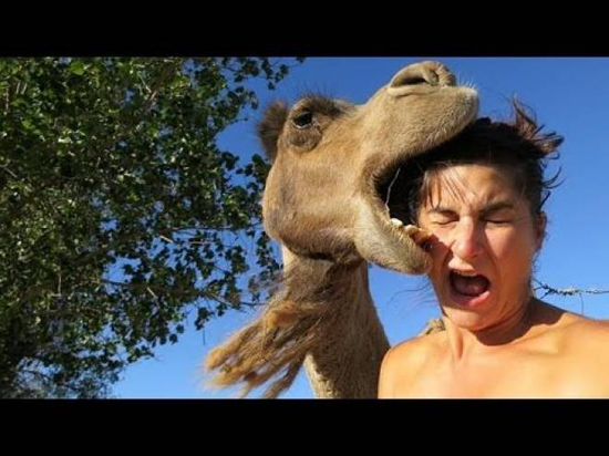 فيديو| أخطر و ربما أغبى 25 سلفي ممكن أن تشاهدها في حياتك