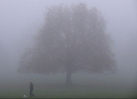صورة: الضباب الدخاني يغطي سماء لاهور الباكستانية