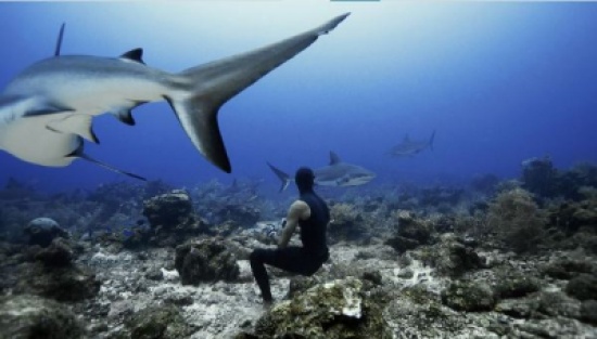 صور تخطف الأنفاس لغواصين داخل أعماق المحيطات