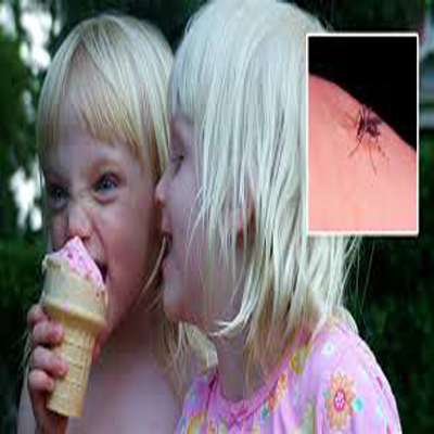 آيس كريم مقابل لدغات البعوض