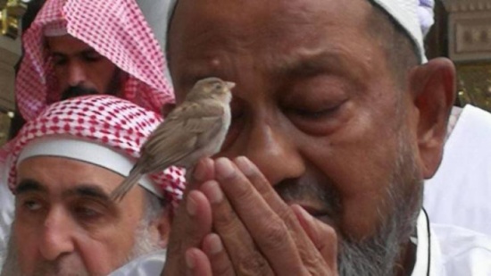 من هو صاحب هذه الصورة التي أشعلت مواقع التواصل؟ من هو صاحب هذه الصورة التي أشعلت مواقع التواصل؟