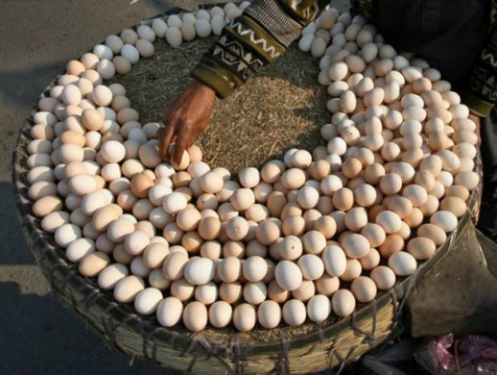 اعرف لماذا يباع البيض بالدزينة وليس 5 أو 10 بيضات