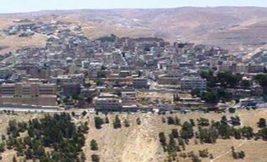 بحث دليل احتياجات مناطق لواء المزار الجنوبي من المشاريع