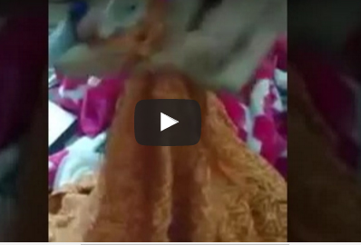 بالفيديو.. خادمة تسرق أموال مخدومها وتخيطها داخل ملابسها