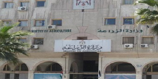 وزير الزراعة: تطوير عمل المؤسسة التعاونية وايجاد نافذة مصرفية لتمويل الجمعيات