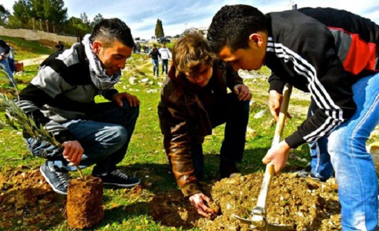 انطلاق حملة "ازرع صمودك "