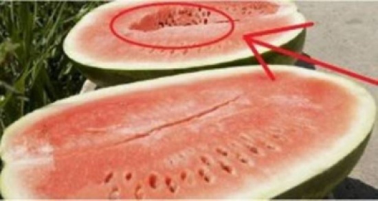 تنبيه: لا تأكلوا البطيخ الأحمر أبداً في هذه الحالة! تنبيه: لا تأكلوا البطيخ الأحمر أبداً في هذه الحالة!