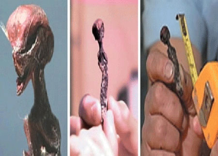 مخلوق غريب في تشيلي ( صور )