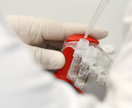 تقرير عالمي يتوقع تزايد الاصابة بالسرطان بنسبة 100% بالدول الفقيرة