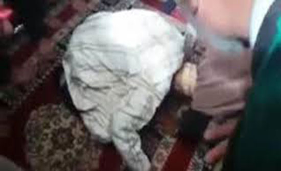 لحظة وفاة رجل مسن وهو ساجد (فيديو) لحظة وفاة رجل مسن وهو ساجد (فيديو)